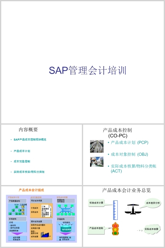 某公司项目工程模板及SAP项目管理(PPT 61页)
