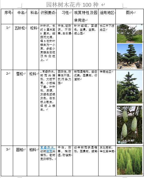 园林树木种类表doc34页